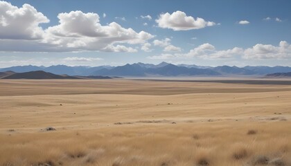 Fototapeta premium Expansive desert landscape under a dramatic sky, offering a sense of vastness and solitude.