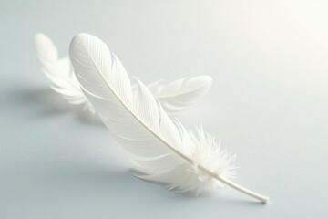Obraz premium Pure white feathers, softly lit, against stark white , art, image, airy