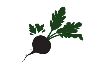 Beetroot Vegetable Icon Root Crop with Green Leaves Vector Illustration