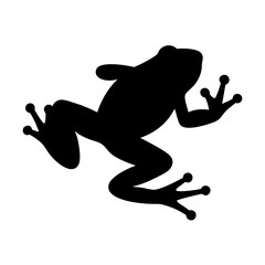 Stylized silhouette of a tropical tree frog clinging to an invisible surface