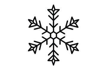 snowflakes vector icon on white