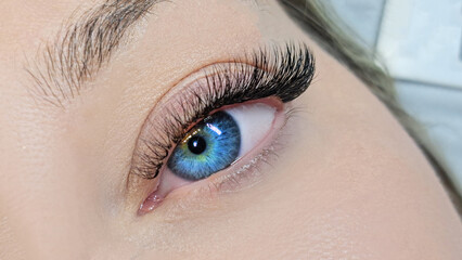 close up of eyelash extensions in beauty salon