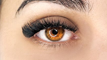 Close up of eye with eyelash extensions ,beauty salon treatment