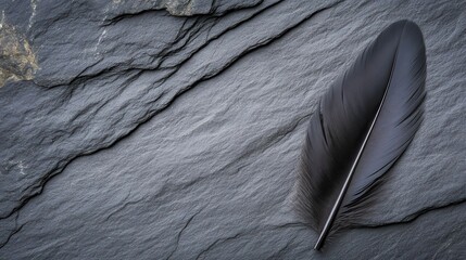 Dark feather rests on dark, layered stone.