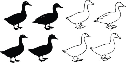 duck outline and silhouette vector set for farm, wildlife, or logo design use.

