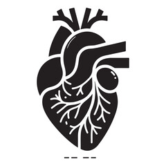 Human heart icon. Vector illustration design