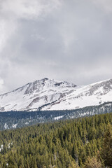Fototapeta premium colorado rockies