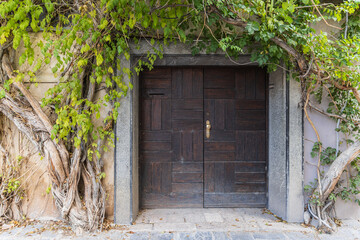 Ivy growing over a wooden door.