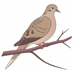 The Mourning Dove (Zenaida macroura) is a slender-tailed, grayish-brown bird with a mournful call, commonly seen across North America, often perched on wires or foraging for seeds.