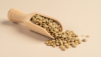 Green lentils in wooden scoop isolated on neutral background