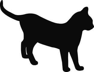 a cat body silhouette vector