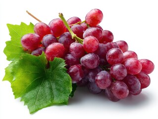 Bunch of red grapes isolated on white background