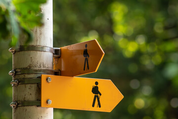 Choose your own adventure. Two paths, endless possibilities to explore.