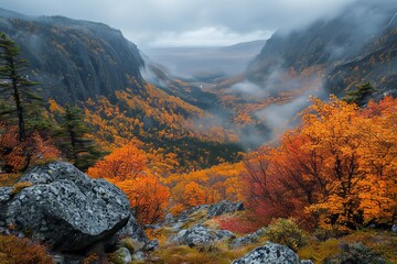 Shrouded valley with dense fog slowly lifting, revealing patches of autumn colors in the distant trees