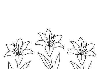 poster or card template with a simple lily bud icon drawn with a few lines in line art style, for logos and tattoos
