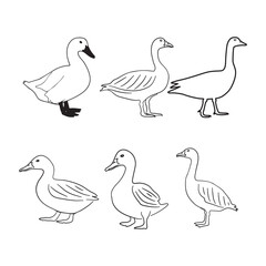 Duck and goose outline set animal line art collection.