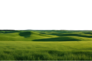 green grass forest with tree on hill panorama landscape isolated on white or transparent png