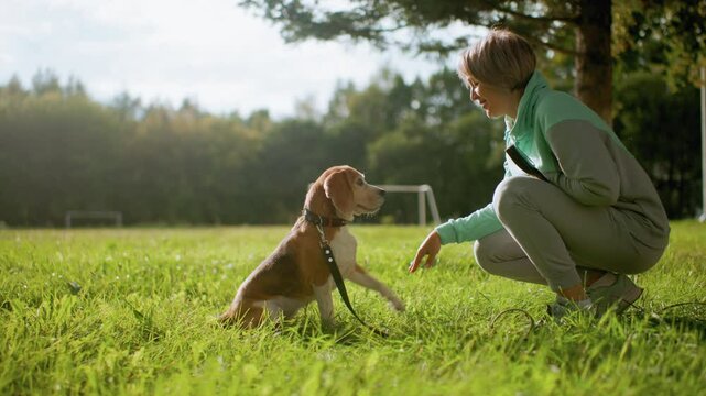 Female trainer teaches playful puppy to shake hands during outdoor training session on lush green field under bright sky, bonding through positive reinforcement, building trust and obedience