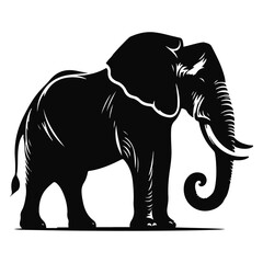Fototapeta premium Vector silhouette image of a African Elephant