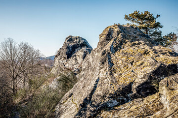 bei Westerhausen am Königstein