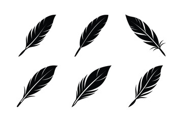 bird feather icon vector sleek feather symbol