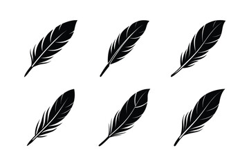 bird feather icon vector modern feather illustration