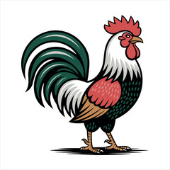 rooster isolated on white background