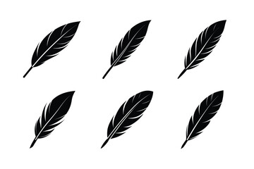 bird feather icon vector sophisticated feather design