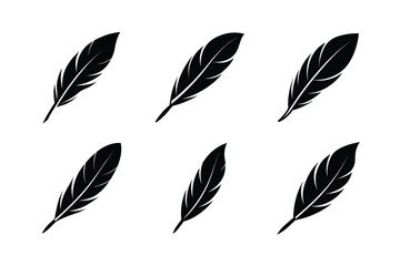 bird feather icon vector smooth and minimal feather