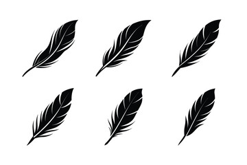 bird feather icon vector elegant minimal design