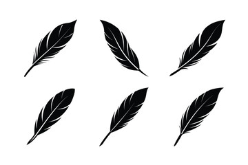 bird feather icon vector artistic feather design
