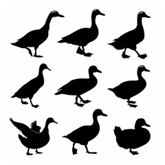 Duck silhouette bundle vector design