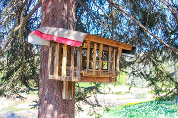 Rustic Wooden Bird Feeder Mounted on Tree Trunk in Spring Forest Setting