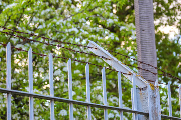 White Metal Gate Opening to Garden with Spring Tree Blossoms Creating Welcoming Entrance