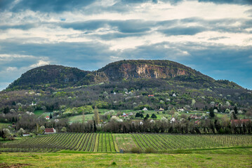 Badacsony mountain vineyard landscape in spring
