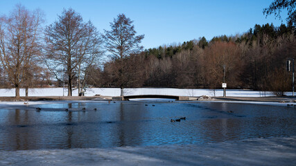a pond in a frozen park in winter
