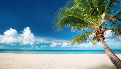 Fototapeta premium palm tree on tropical beach with blue sky and white clouds abstract background copy space of summer vacation and business travel concept