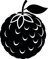 Annona fruit silhouette on transparent background