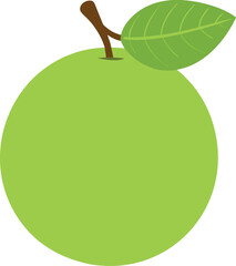 Amla vector icon on white background