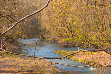Capture the serene beauty of early spring with this vibrant forest landscape featuring a gently flowing river bathed in warm sunlight. Fresh green trees.