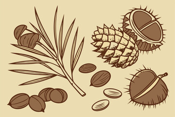 7 Pine cone, pine nuts, pine branch, tiger nuts, chufa sedge tubers, dried earth almonds, chestnuts, roasted chestnuts, autumn harvest, natural ingredients, organic snacks, forest nuts, seasonal foods