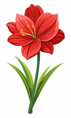 Red amaryllis flower blossom bloom floral botanical plant petal flora nature garden drawing