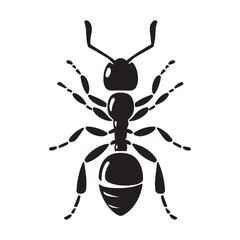 Obraz premium silhouette vector of a Ant