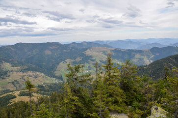 Picturesque view of lush green mountains and valleys with scattered trees and sky. This scenic landscape offers a serene and tranquil feeling. Carpathian Mountains, Ukraine