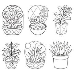 set of flowers and plants line art vector illustration