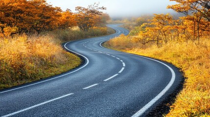 Fototapeta premium Winding asphalt road with yellow trees