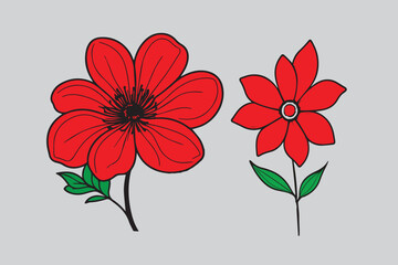 The Beauty and Meaning of Flowers