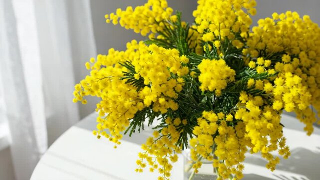 Bright yellow mimosa bouquet on a white table against sunlight  