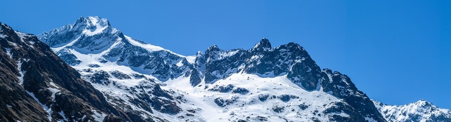 Stambecchi al rifugio “Dado Soria”, in alta Valle Gesso, nel sud della provincia di Cuneo