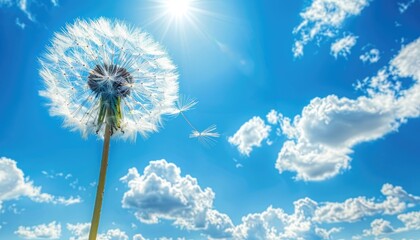 Obraz premium Wallpaper of flying dandelion plant with a beautiful nature background Generate AI